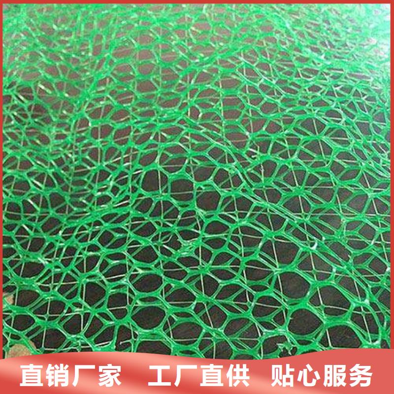 三维加筋植草网垫公司办事处