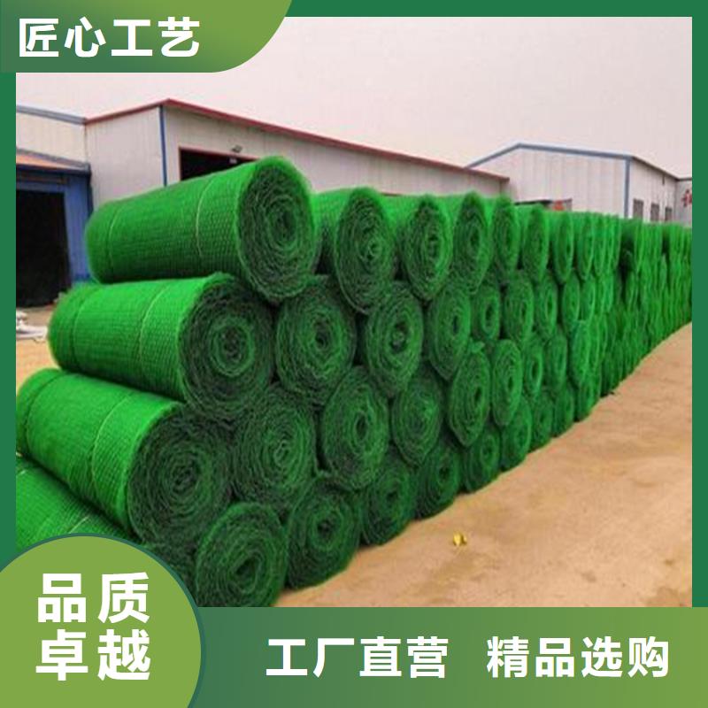三維植草護坡網墊-EM2三維土工網墊