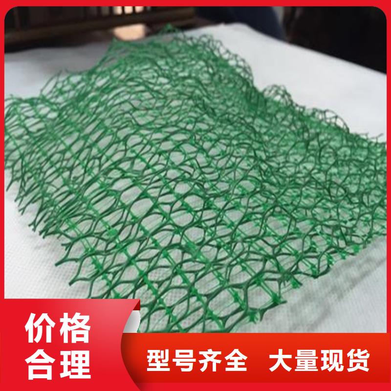 三维植被网玻璃纤维土工格栅甄选好厂家