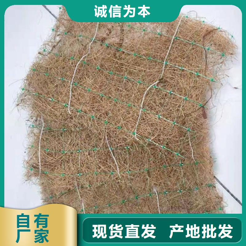 椰纤植生毯复合环保草毯