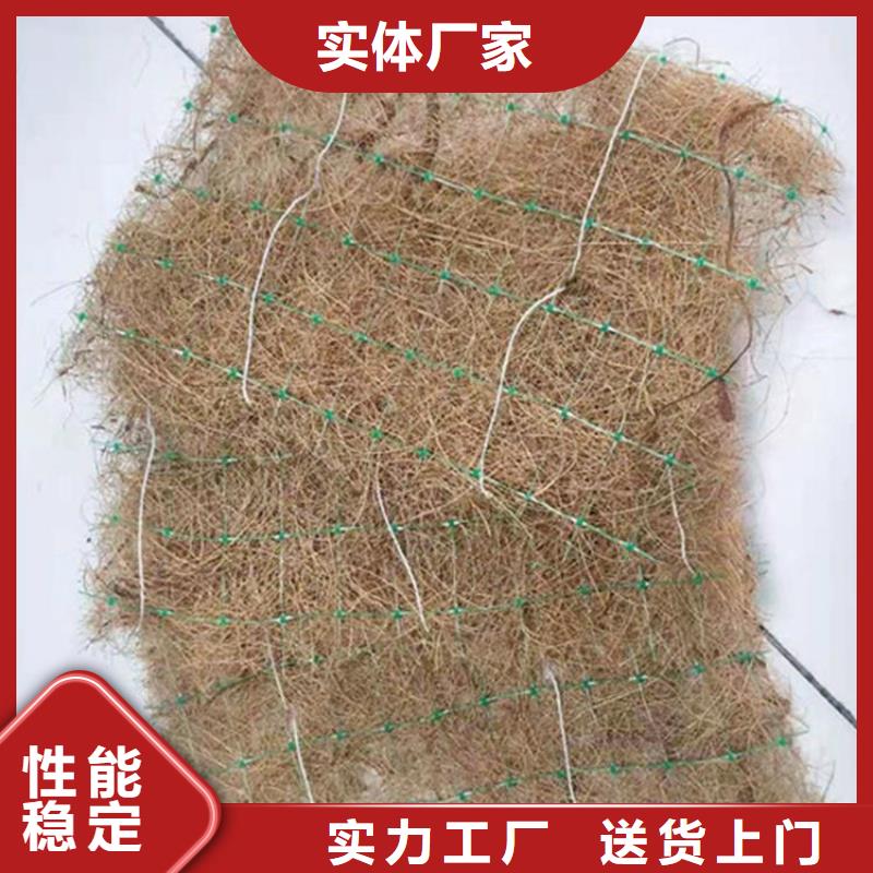 生态植被毯施工案例介绍