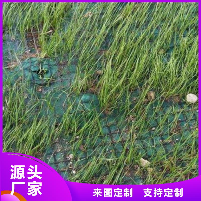 植物纖維毯