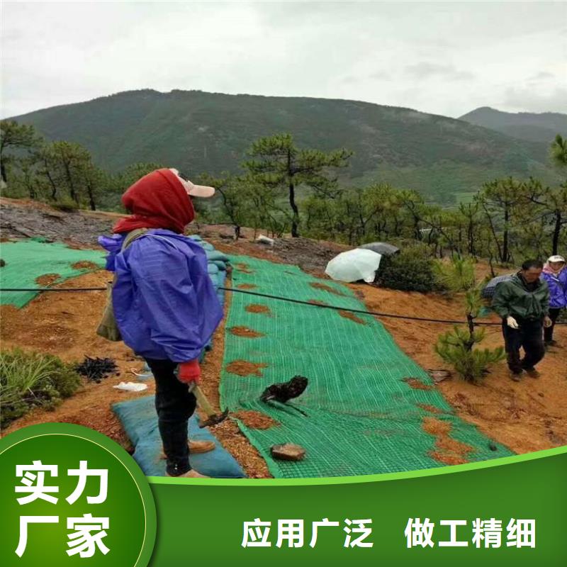 植物纤维毯-生态环保草毯-环保植生绿化毯