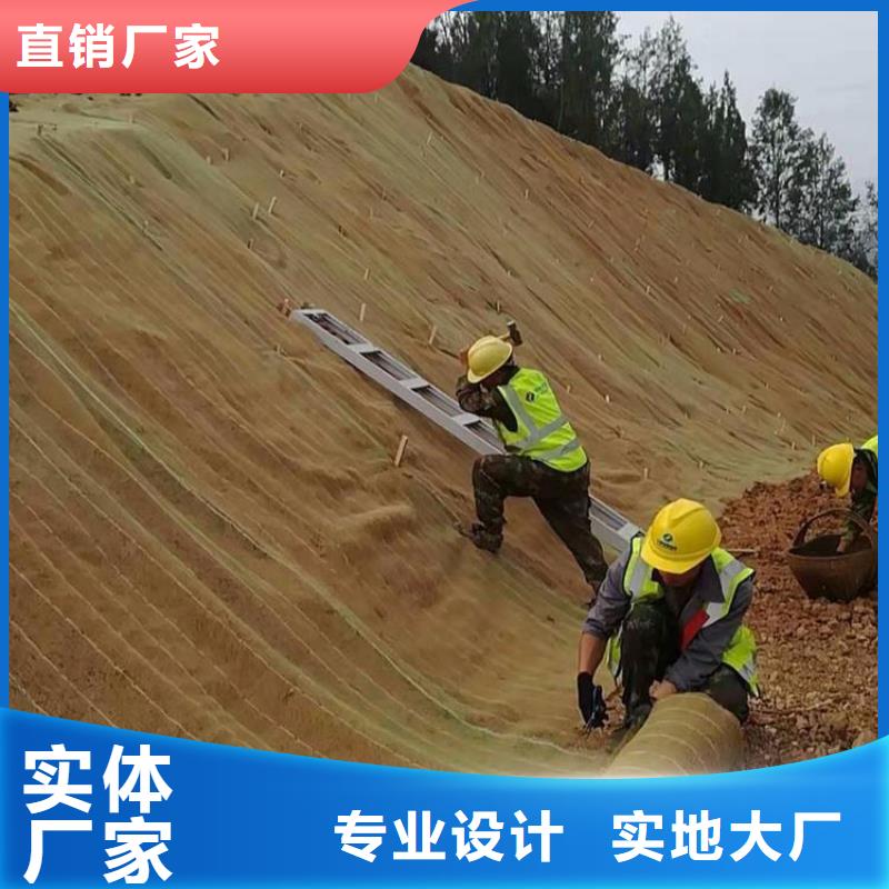 加筋抗沖生態毯-水保植生毯