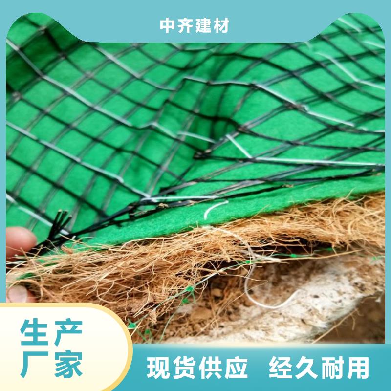 植物生态防护毯-加筋抗冲生态毯