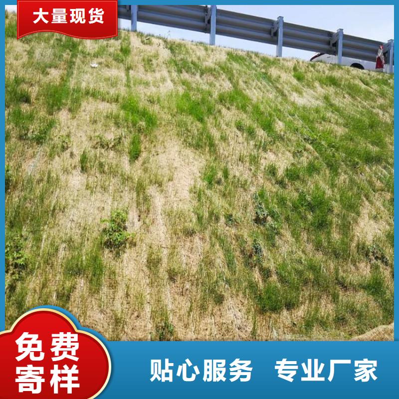 护坡植被植草毯价格公道