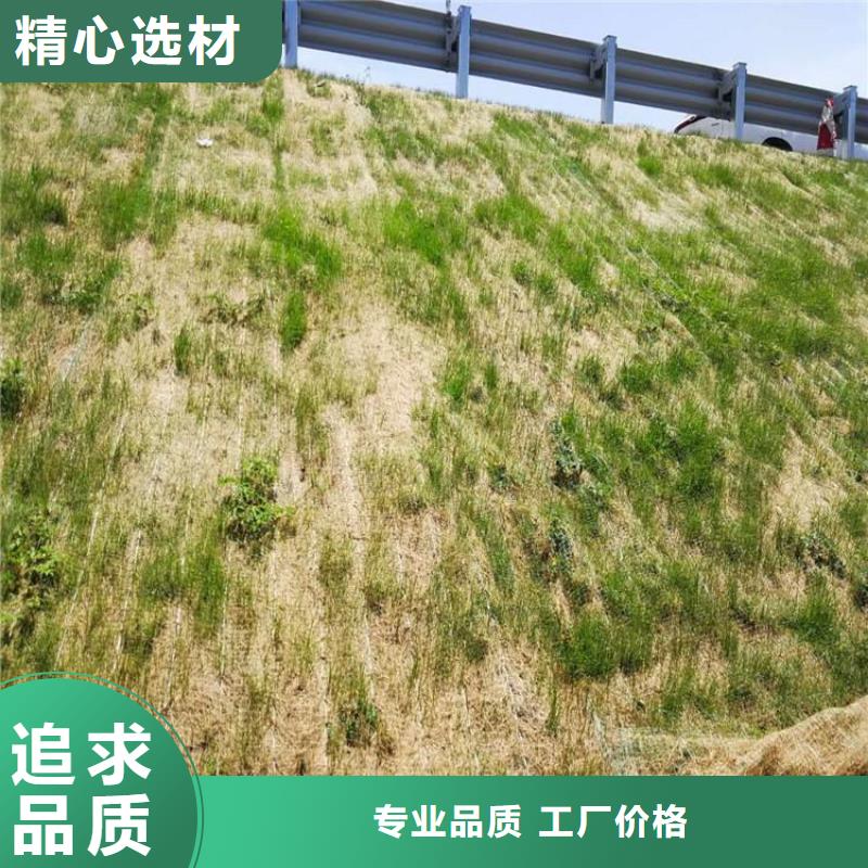 椰纤植生毯公司-厂家批发