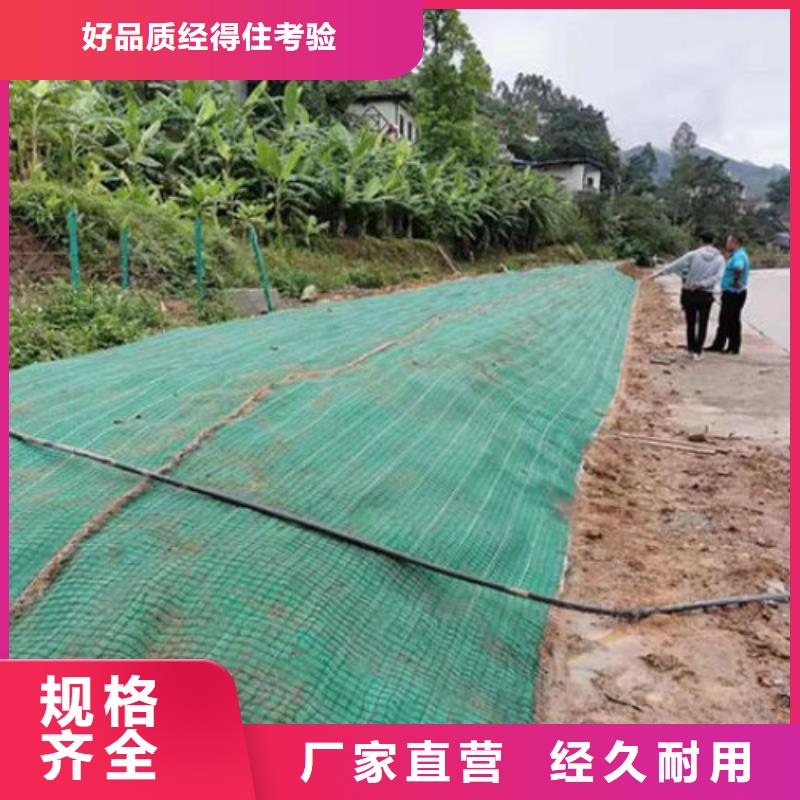 加筋抗沖生態毯-護坡草毯