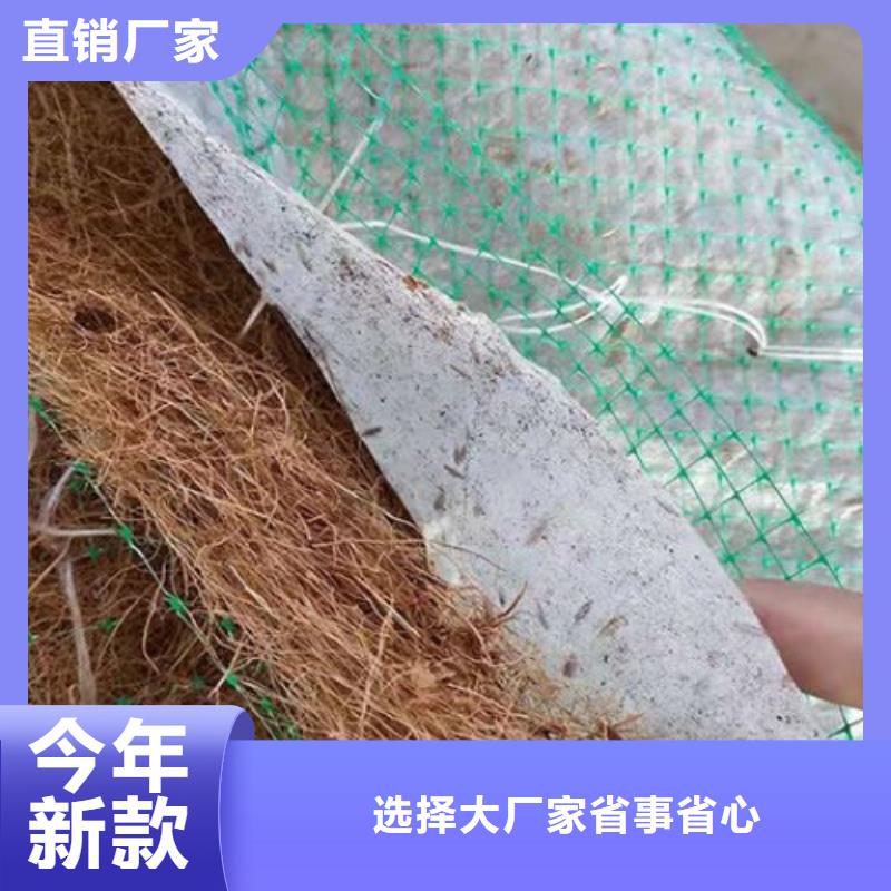 椰纤植生毯复合环保草毯