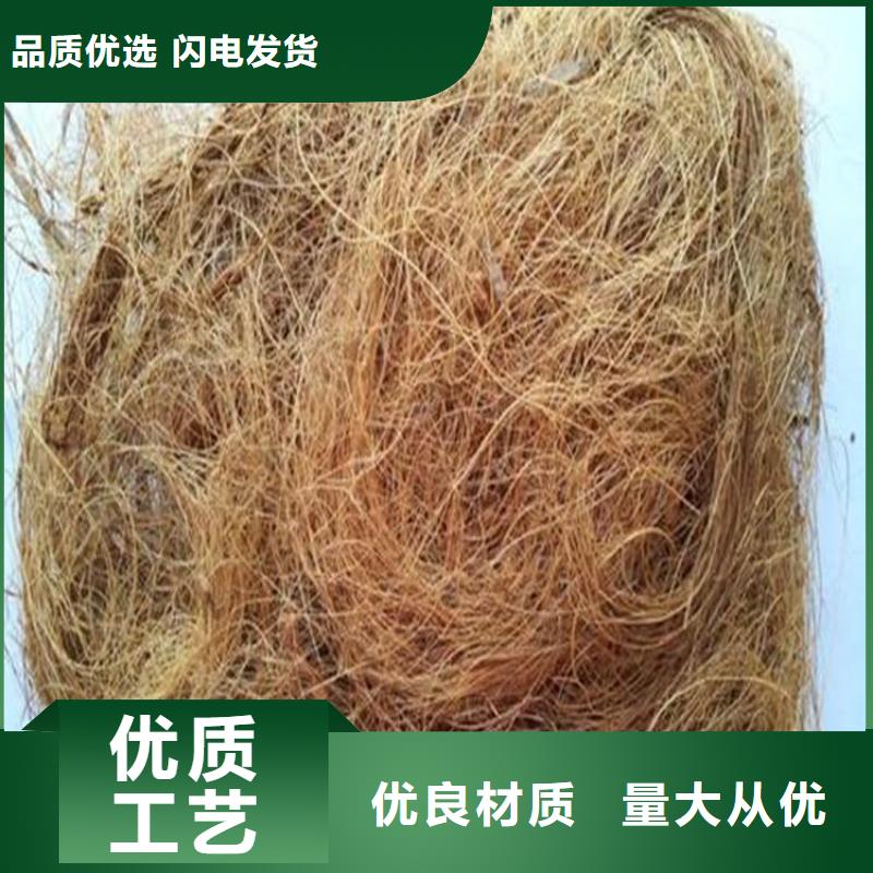 生态植被毯施工案例介绍