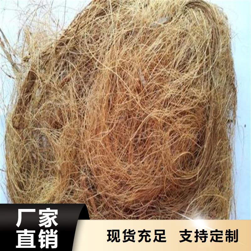 植物生態(tài)防護毯-加筋抗沖生態(tài)毯
