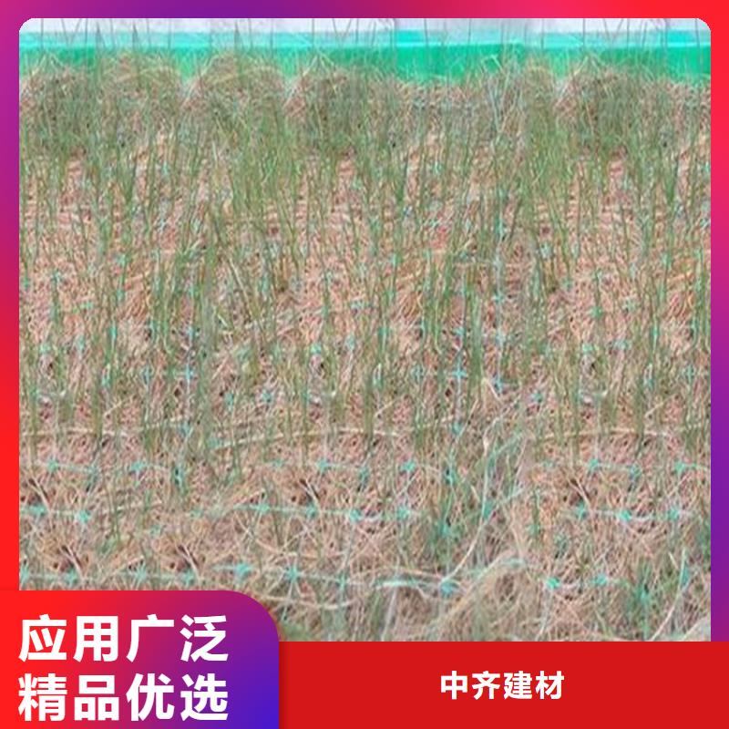 加筋抗冲生物毯-麻椰固土垫-护坡植物纤维毯