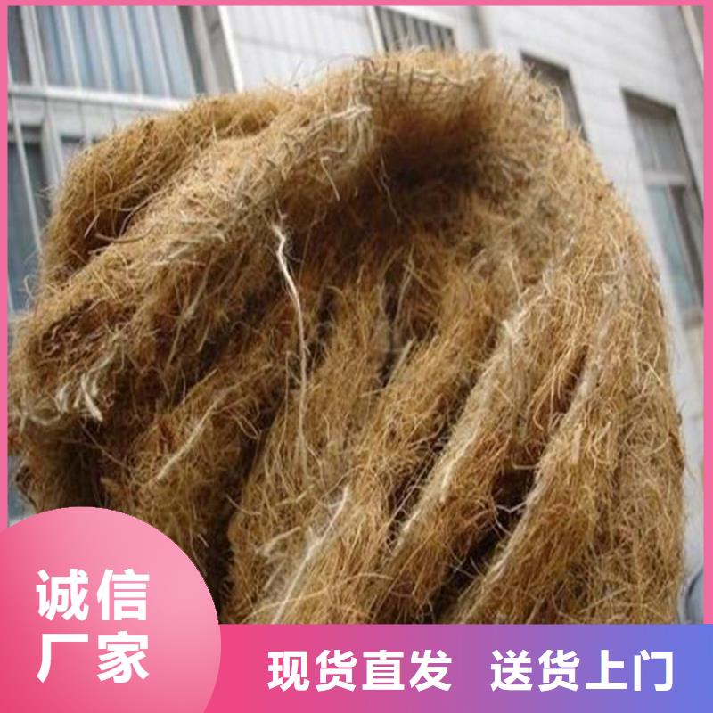 植物纤维毯-加筋抗冲生物毯