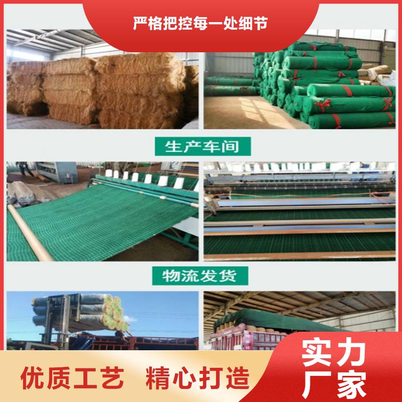 護坡植被植草毯貨源充足