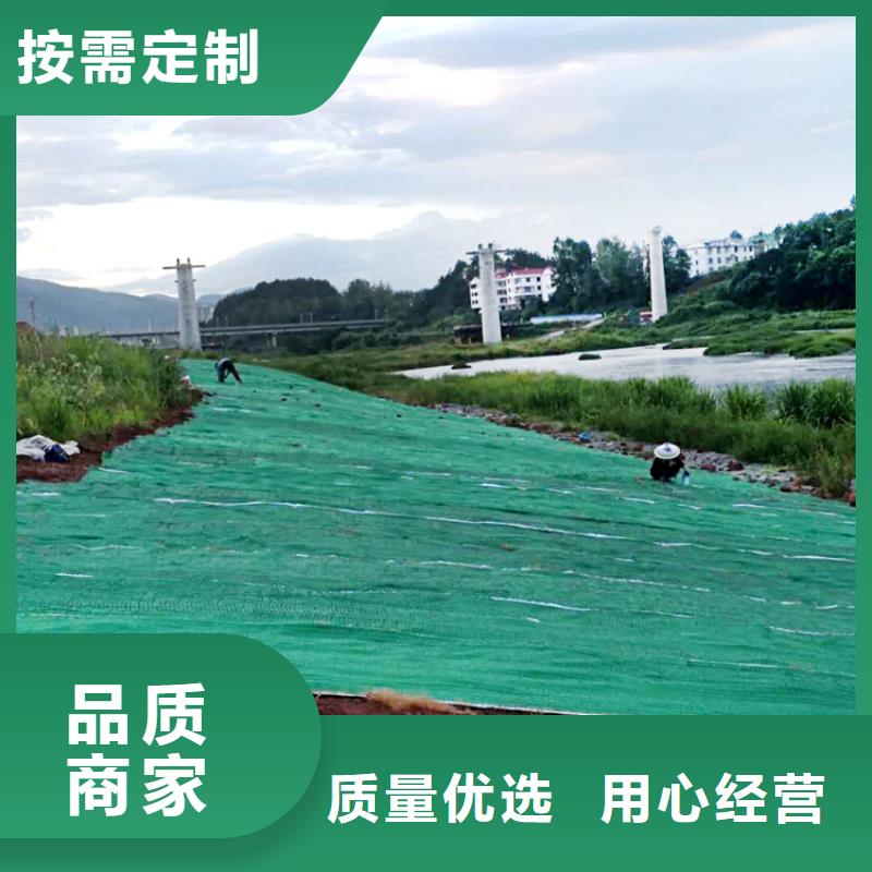 生态环保草毯-植物纤维毯-加筋复合环保草毯