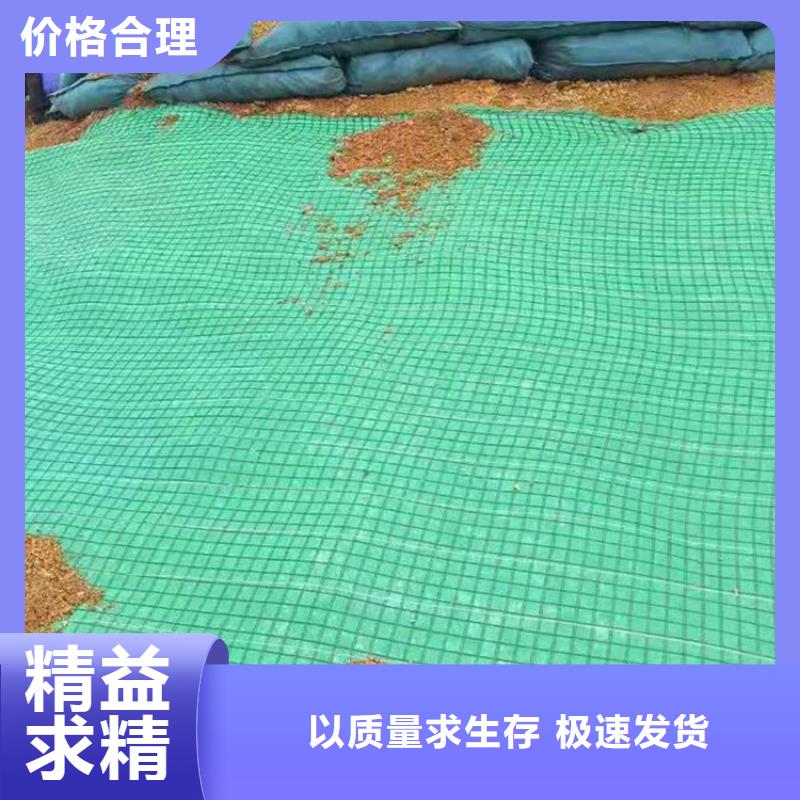 PP加筋椰丝毯供应-哪里有卖的