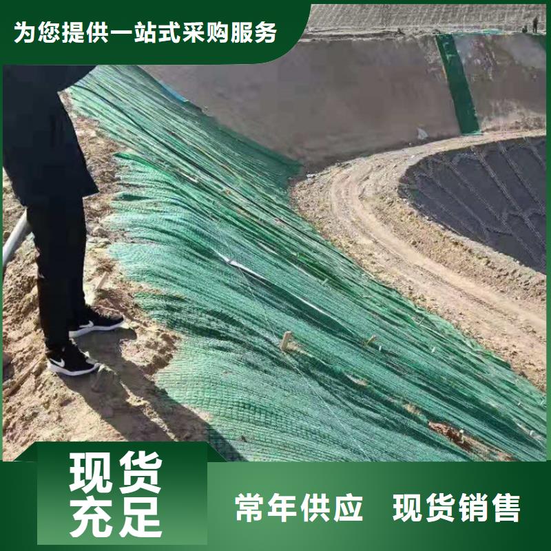 加筋抗沖生態毯