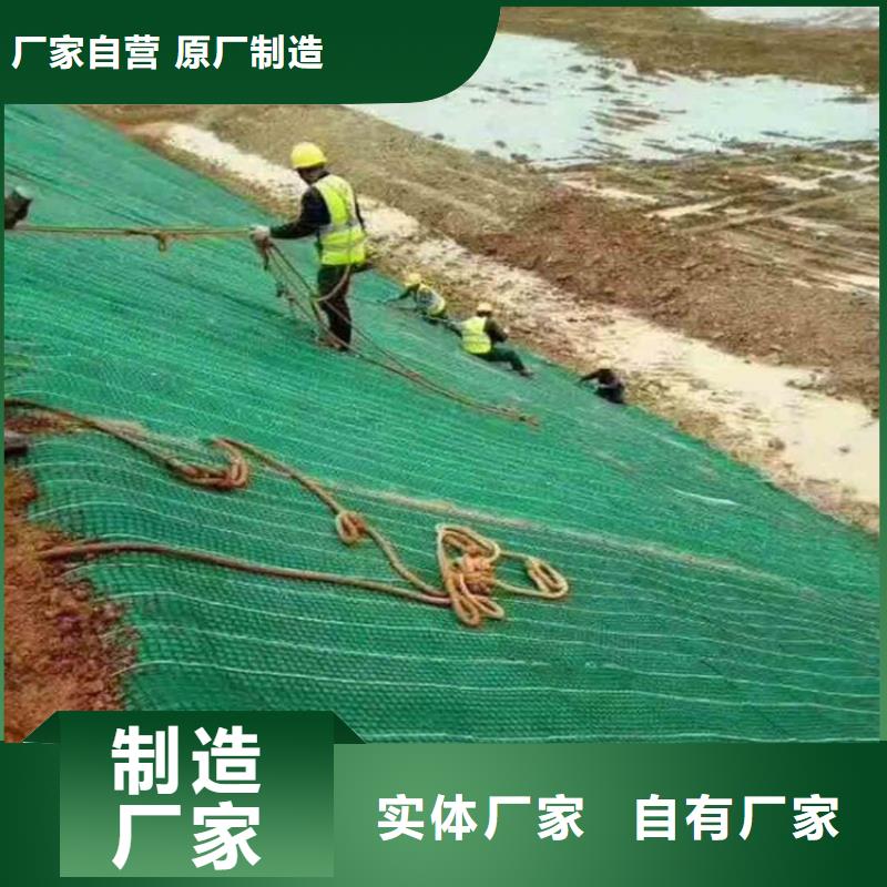 加筋抗冲生物毯市场经销