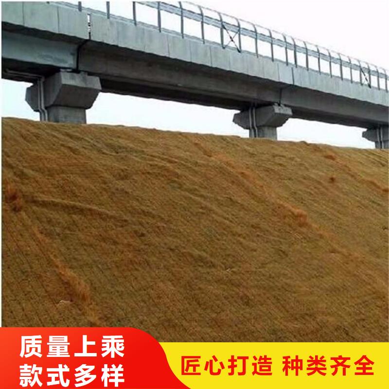 植生椰絲毯-加筋抗沖生物毯