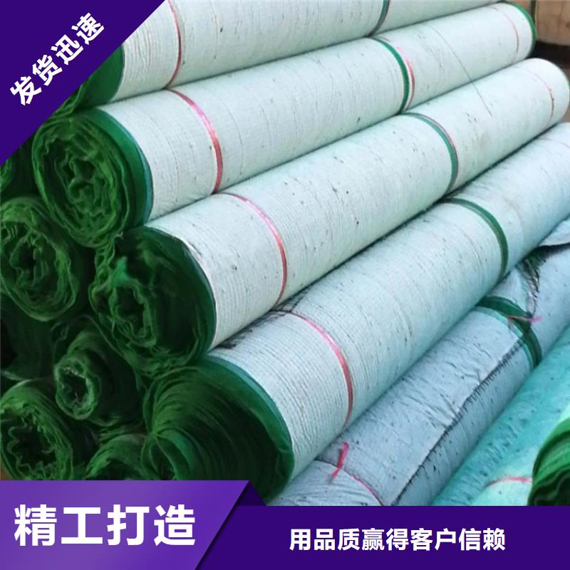 加筋抗沖生態毯-生物草毯生態墊