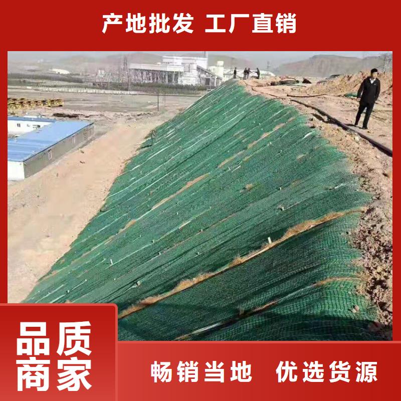 植生椰絲毯-生態環保草毯廠家-量大從優