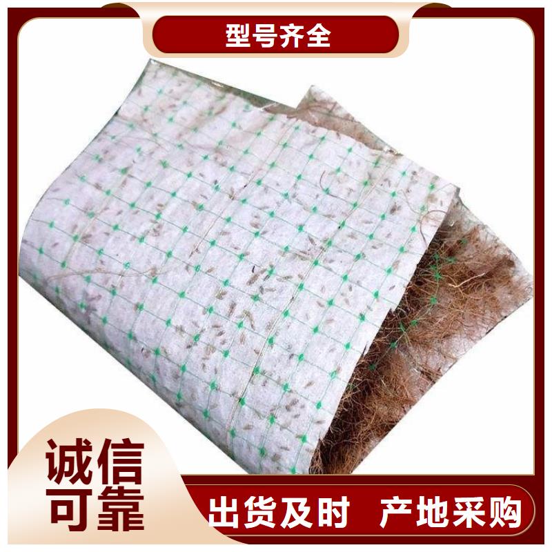加筋抗沖生態毯-護坡草毯