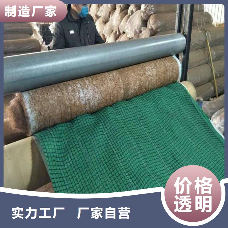 護坡植被植草毯貨源充足