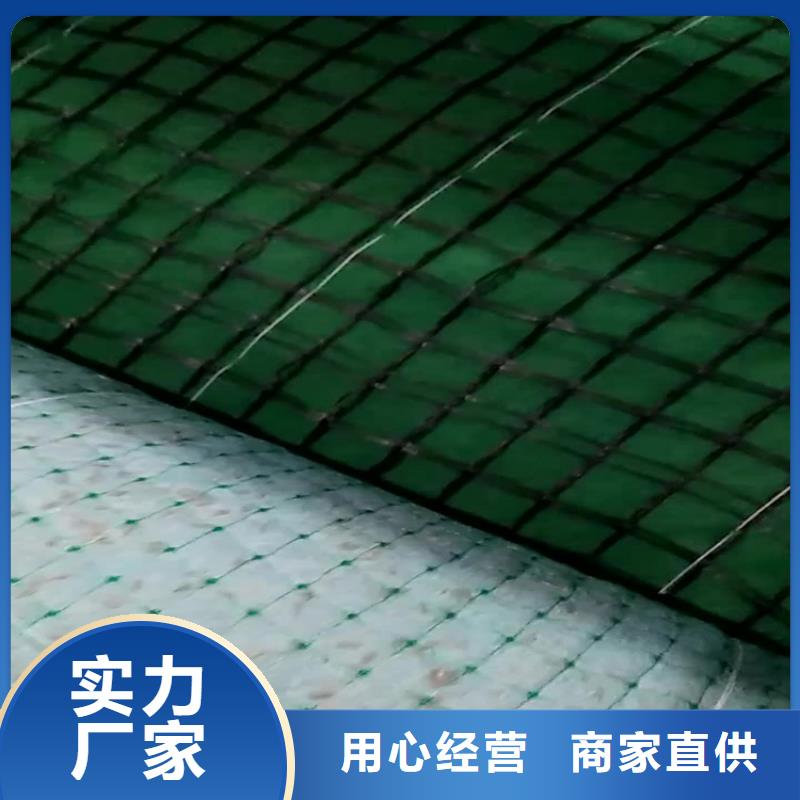 生態(tài)環(huán)保草毯-加筋抗沖生物毯-加筋麻椰固土毯