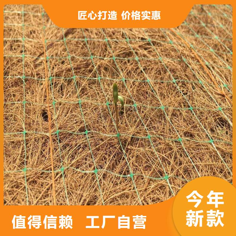 椰丝植被毯-秸秆植物纤维毯