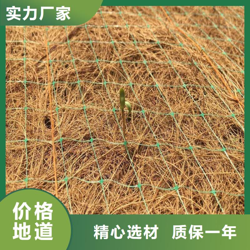 椰纤植生毯-加筋抗冲生态毯