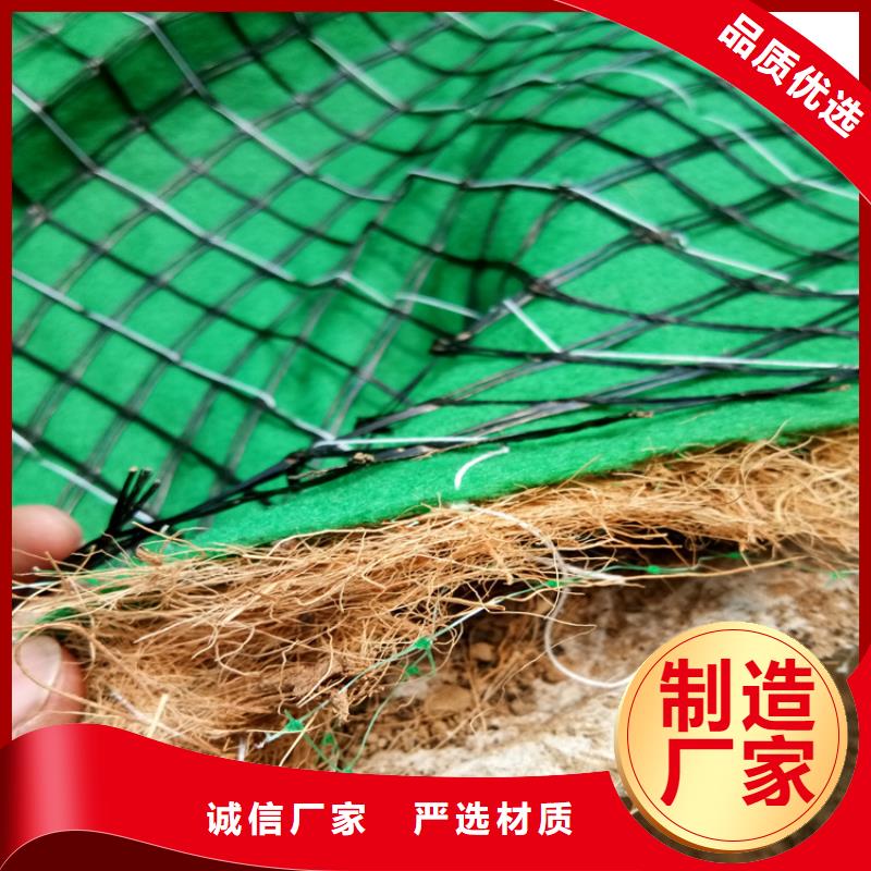 植物生态防护毯-椰纤植生毯