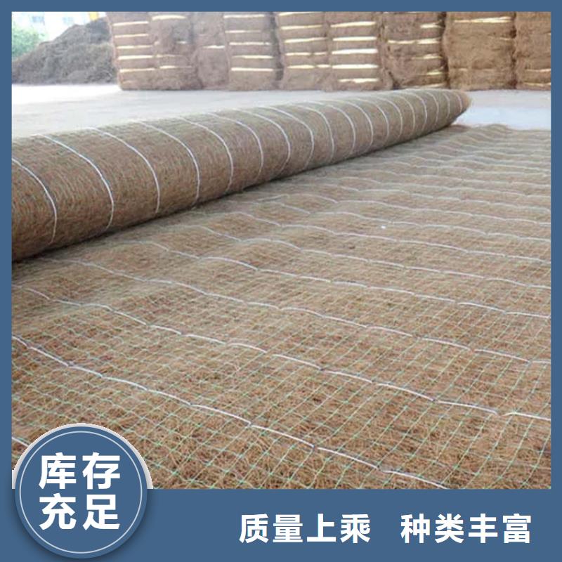 生态环保草毯-加筋抗冲生物毯-绿化生态毯
