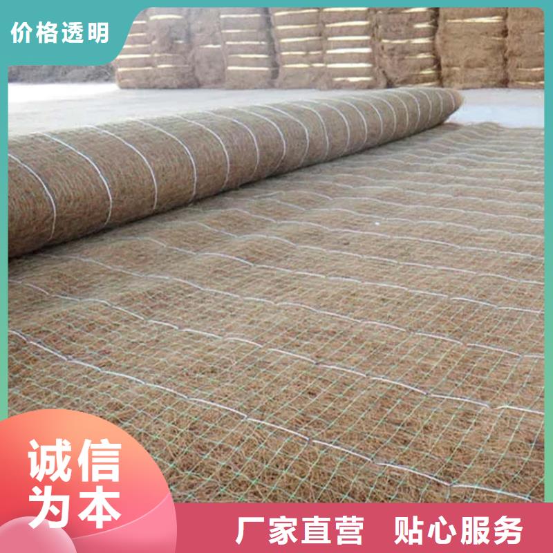 椰纤植生毯-生态环保草毯-生态植草毯