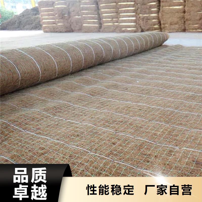 纤维草毯护坡生态毯