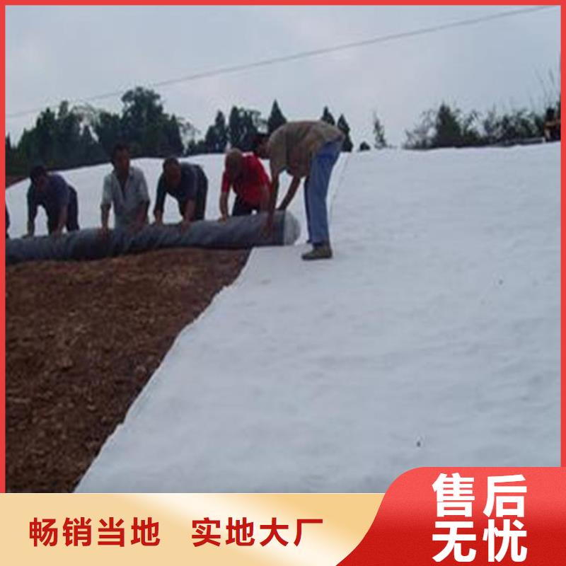 膨潤土防水毯_無紡布實力廠商