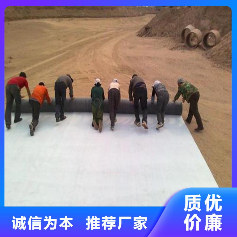 膨潤土防水毯-【玻纖格柵】批發價格