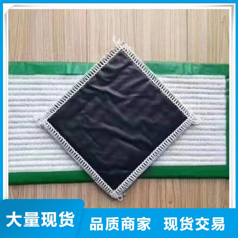 膨潤土防水毯土工格柵廠家直銷
