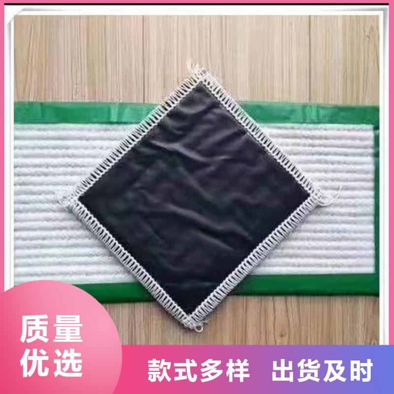 膨潤土防水毯-土工膜專業(yè)的生產(chǎn)廠家