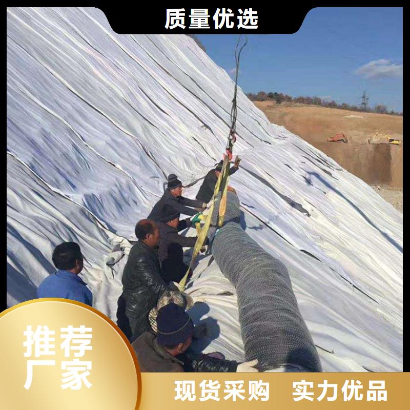 膨潤土防水毯土工格柵廠家直銷