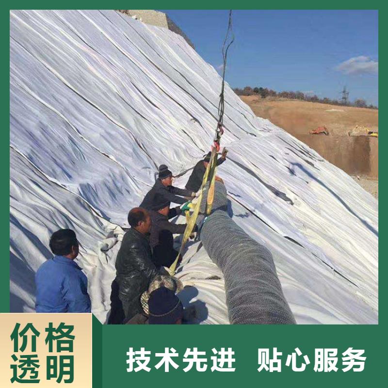膨润土防水毯双向土工格栅出厂价