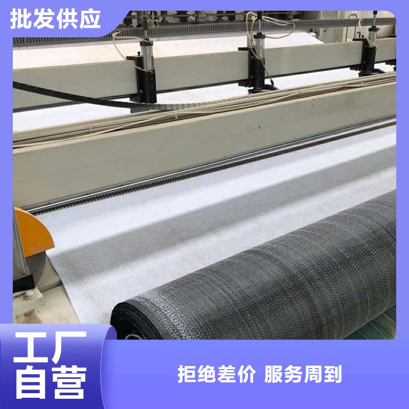 膨潤土防水毯土工格柵價格實惠工廠直供
