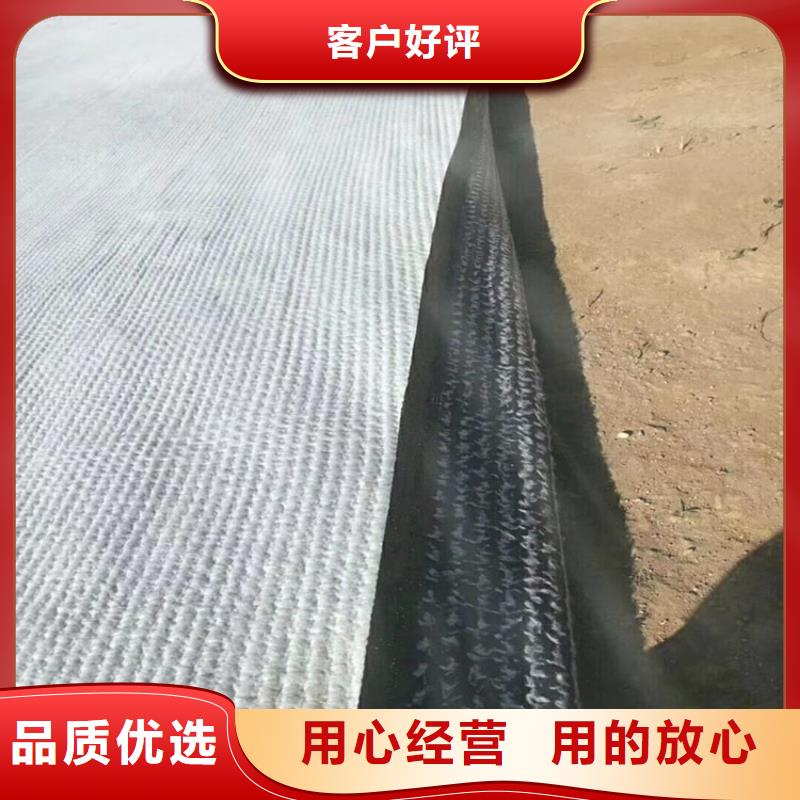 膨潤土防水毯三維植被網按需定制真材實料