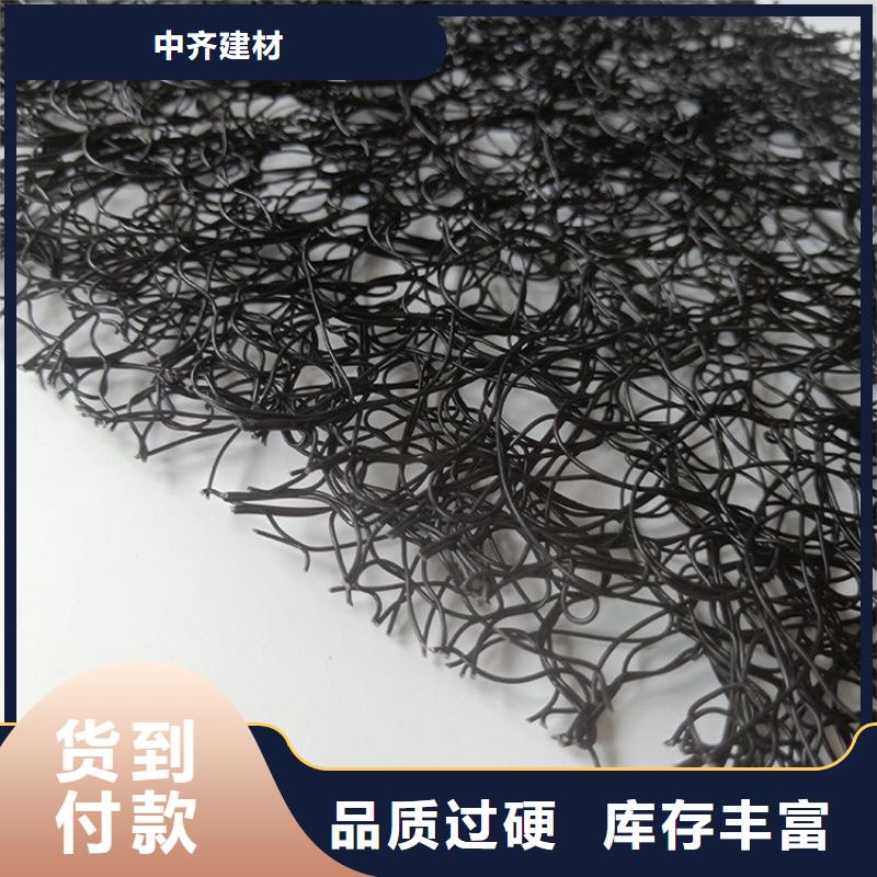 通風(fēng)降噪絲網(wǎng)雙向塑料土工格柵購買的是放心