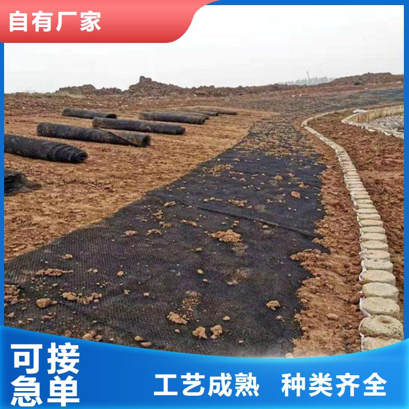 【水土保護毯】機織布從廠家買售后有保障