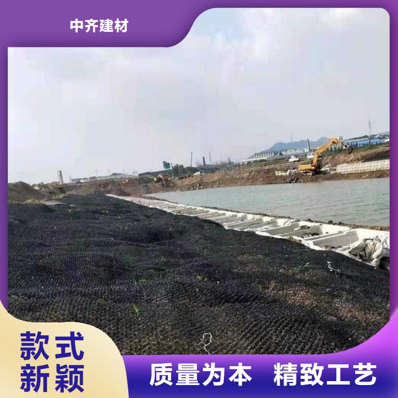 【水土保護(hù)毯_土工膜訂制批發(fā)】
