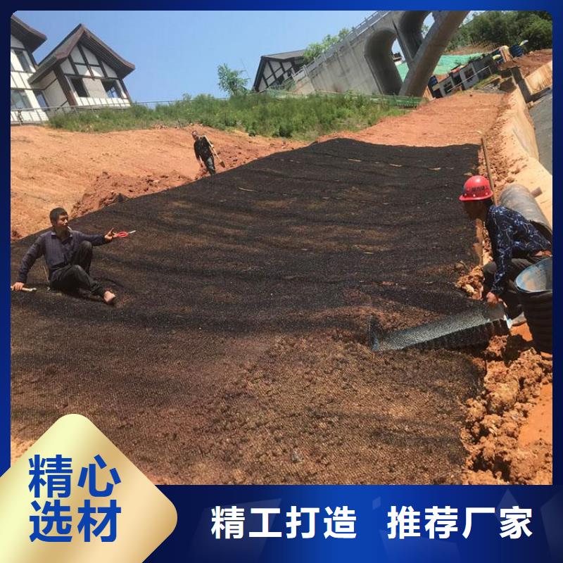 水土保護毯-防裂貼懂您所需