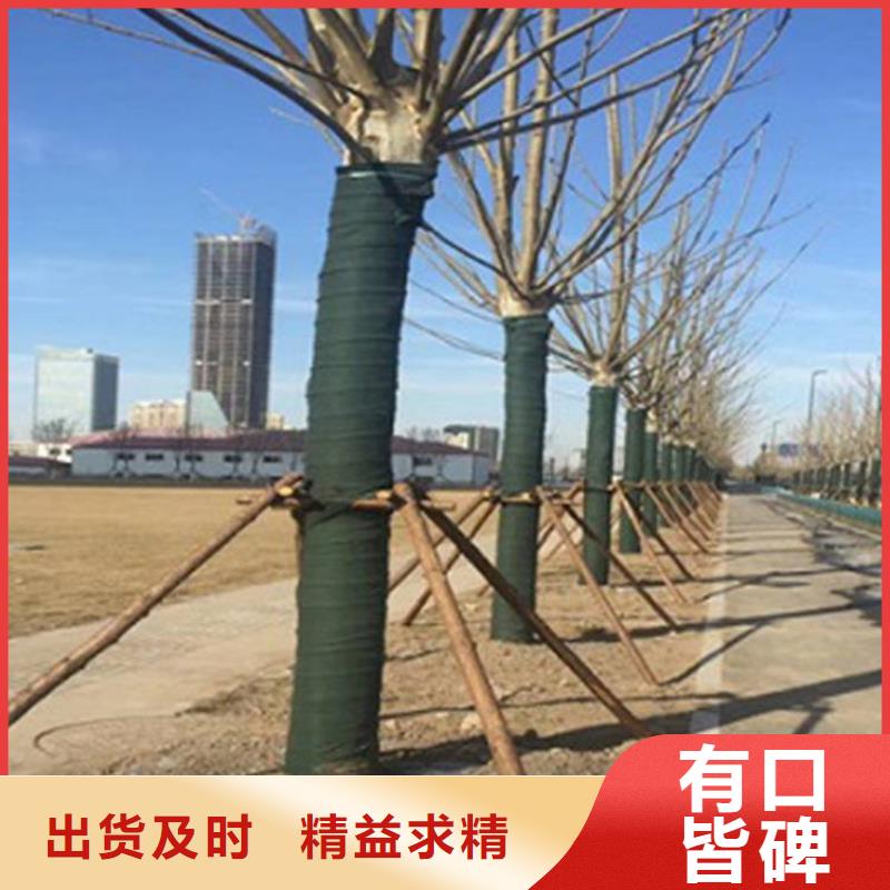 裹樹布土工膜真正讓利給買家