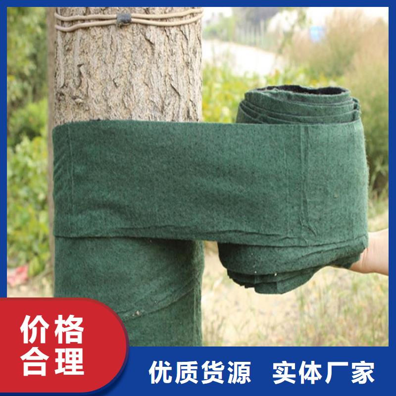 裹樹布HDPE土工膜自主研發