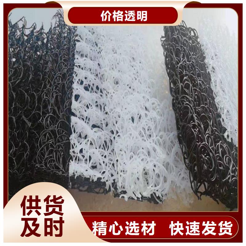 土工席墊塑料格柵現(xiàn)貨充足量大優(yōu)惠