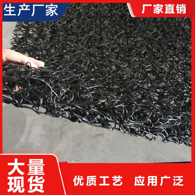 土工席墊塑料格柵現(xiàn)貨充足量大優(yōu)惠